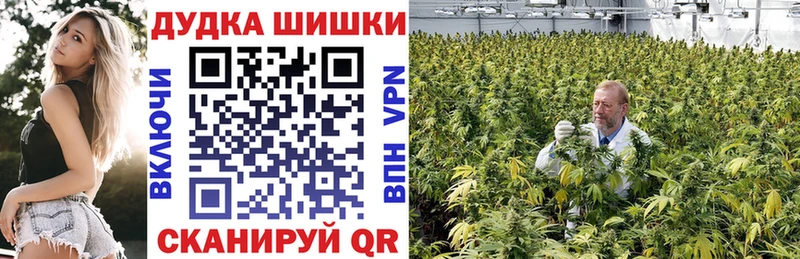 Купить где  Урай  Канабис сатива 